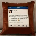 Brown Cushion in Square Shape (Big)