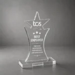 Acrylic Trophy - Image 4