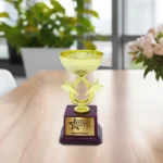 Customized Fiber Corporate Trophy ( Size :15.24 Cm)