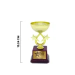 Customized Fiber Corporate Trophy ( Size :15.24 Cm) - Image 2